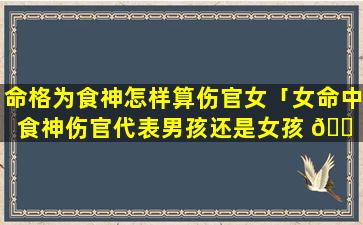 命格为食神怎样算伤官女「女命中食神伤官代表男孩还是女孩 🐠 」